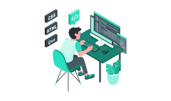 Professional Web Design & Development